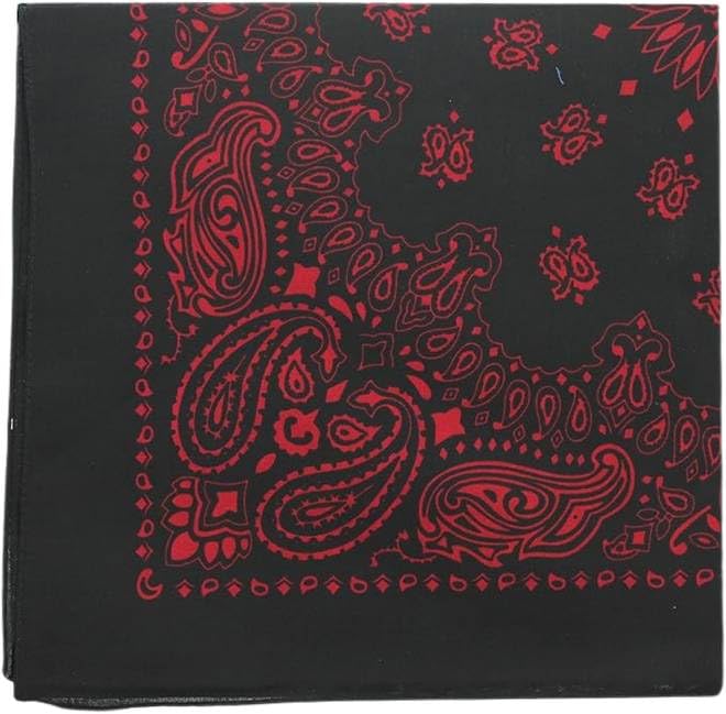 Trainmen Paisley Bandanas Scarf Do-rag Cotton Biker Head Rags Classic Bandanna 22" x 22" (12 Pack)