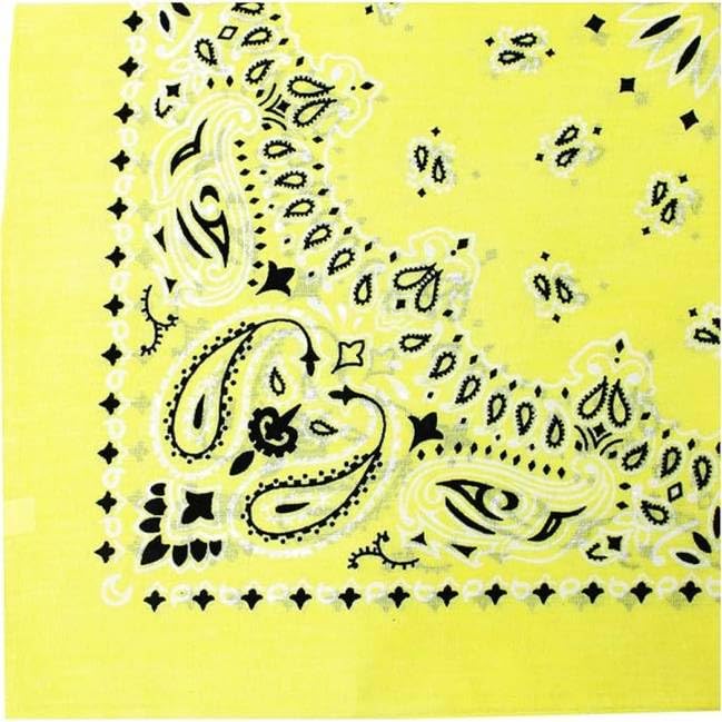 Trainmen Paisley Bandanas Scarf Do-rag Cotton Biker Head Rags Classic Bandanna 22" x 22" (12 Pack)