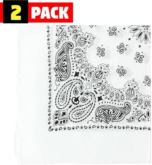 Trainmen Paisley Bandana Head Scarf Do-rag 100% Cotton Bandanna Cover 22" x 22", 2 Pack
