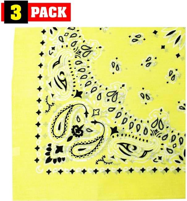 Trainmen Paisley Bandanas Head Scarf Do-rag 100% Cotton Bandanna Head Cover 22" x 22", 3 Pack