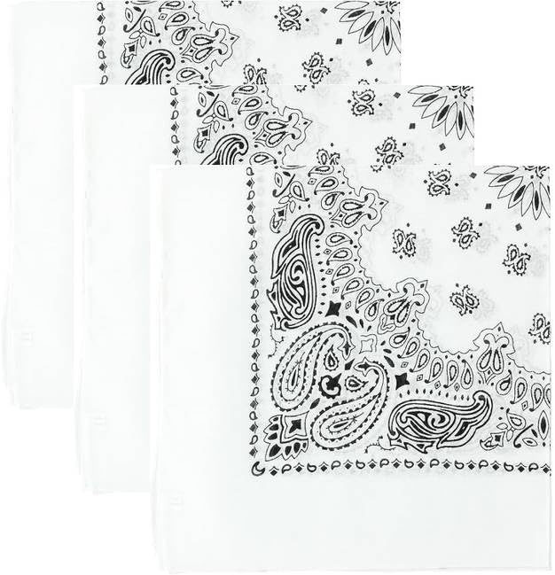 Trainmen Paisley Bandanas Head Scarf Do-rag 100% Cotton Bandanna Head Cover 22" x 22", 3 Pack