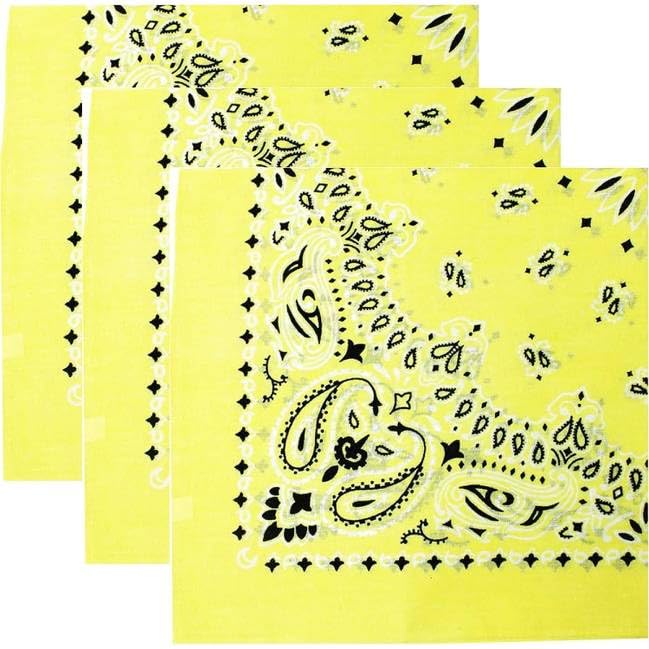 Trainmen Paisley Bandanas Head Scarf Do-rag 100% Cotton Bandanna Head Cover 22" x 22", 3 Pack