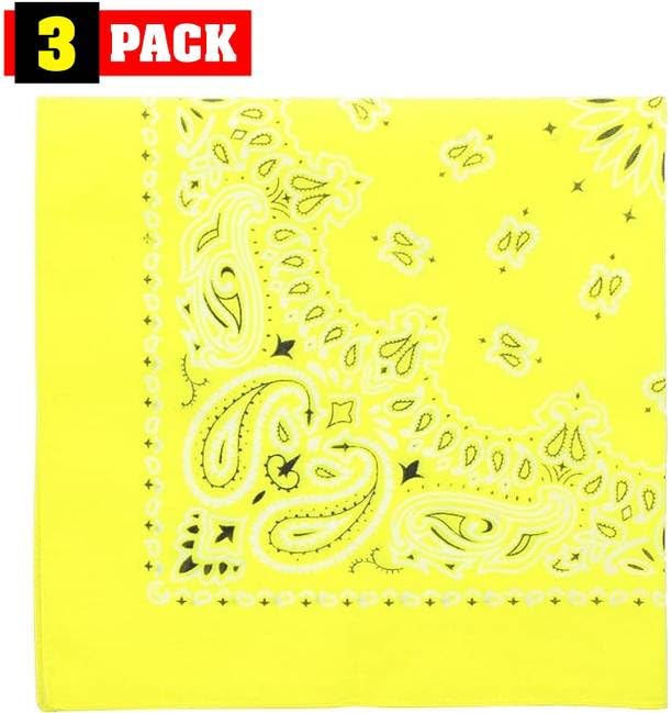 Trainmen Paisley Bandanas Head Scarf Do-rag 100% Cotton Bandanna Head Cover 22" x 22", 3 Pack