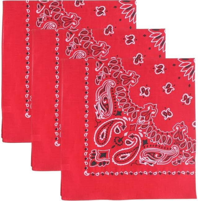 Trainmen Paisley Bandanas Head Scarf Do-rag 100% Cotton Bandanna Head Cover 22" x 22", 3 Pack