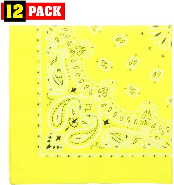 Trainmen Paisley Bandanas Scarf Do-rag Cotton Biker Head Rags Classic Bandanna 22" x 22" (12 Pack)