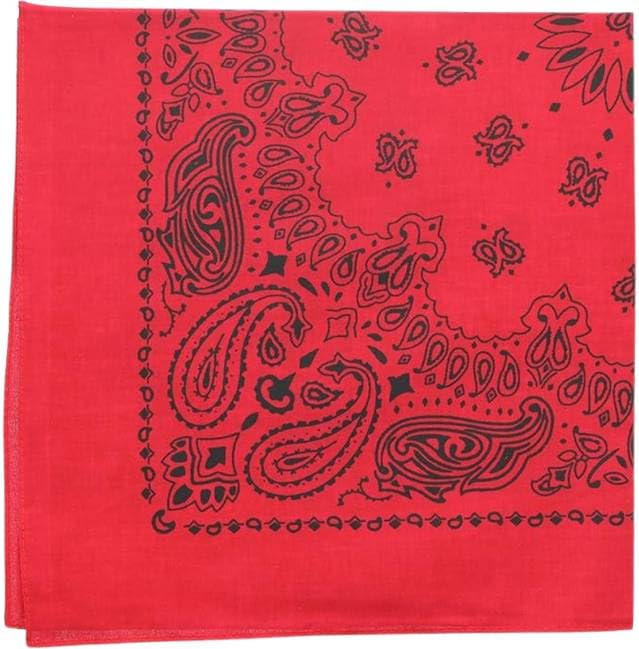 Trainmen Paisley Bandanas Scarf Do-rag Cotton Biker Head Rags Classic Bandanna 22" x 22" (12 Pack)