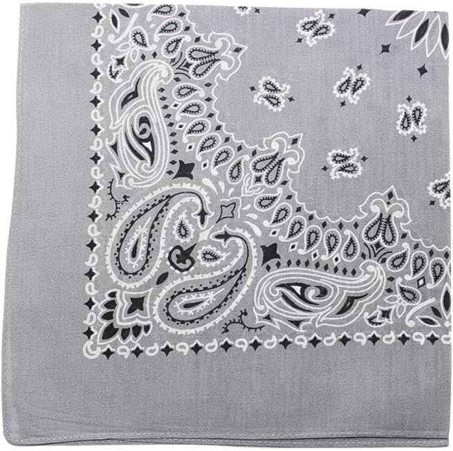 Trainmen Paisley Bandanas Scarf Do-rag Cotton Biker Head Rags Classic Bandanna 22" x 22" (12 Pack)
