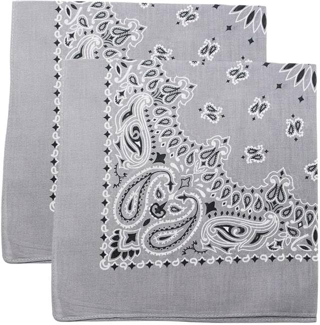 Trainmen Paisley Bandana Head Scarf Do-rag 100% Cotton Bandanna Cover 22" x 22", 2 Pack