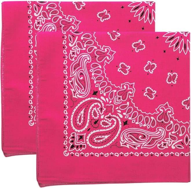 Trainmen Paisley Bandana Head Scarf Do-rag 100% Cotton Bandanna Cover 22" x 22", 2 Pack