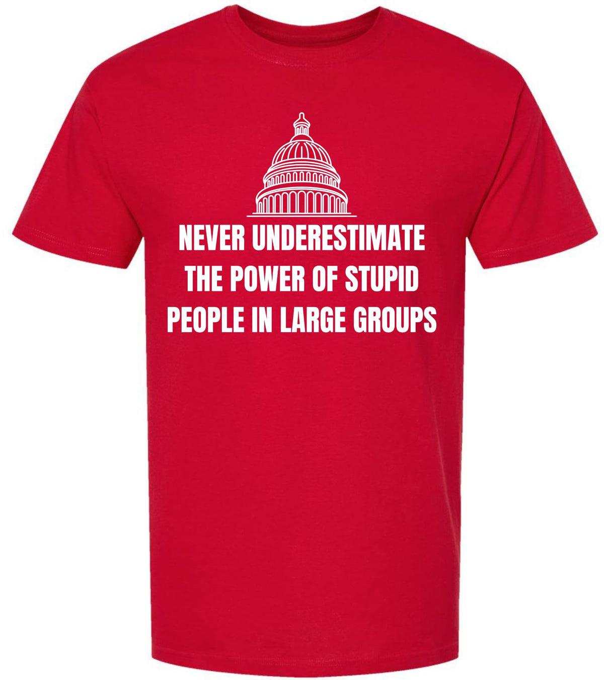 Never Underestimate The Power of Stupid People in Large Groups Printed T-Shirt | Funny Sarcastic Unisex Tee