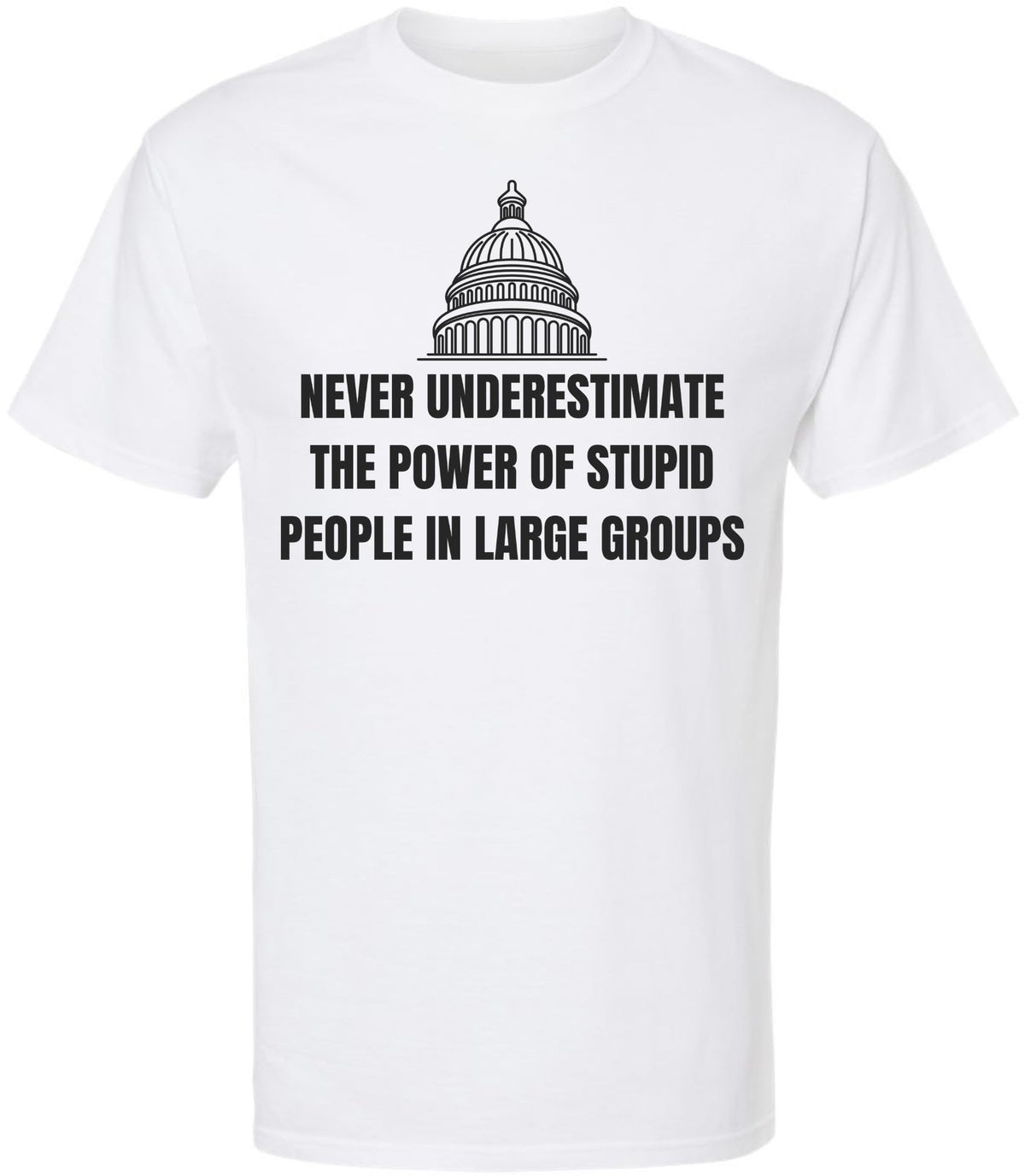 Never Underestimate The Power of Stupid People in Large Groups Printed T-Shirt | Funny Sarcastic Unisex Tee