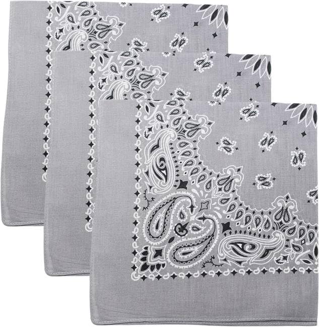 Trainmen Paisley Bandanas Head Scarf Do-rag 100% Cotton Bandanna Head Cover 22" x 22", 3 Pack