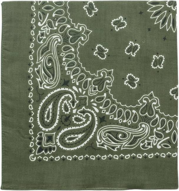 Trainmen Paisley Bandanas Scarf Do-rag Cotton Biker Head Rags Classic Bandanna 22" x 22" (12 Pack)