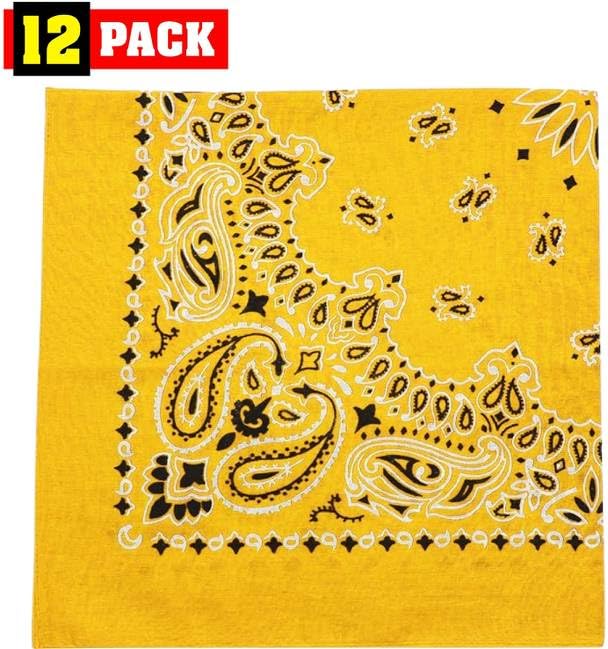 Trainmen Paisley Bandanas Scarf Do-rag Cotton Biker Head Rags Classic Bandanna 22" x 22" (12 Pack)