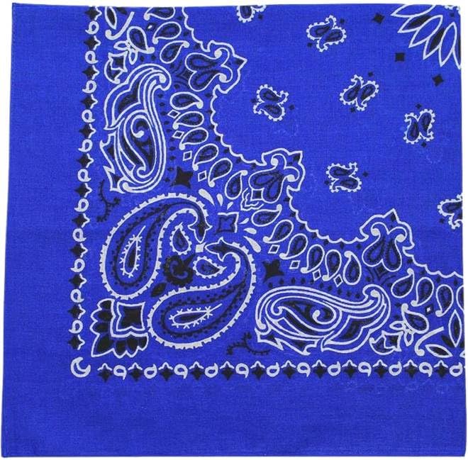 Trainmen Paisley Bandanas Scarf Do-rag Cotton Biker Head Rags Classic Bandanna 22" x 22" (12 Pack)