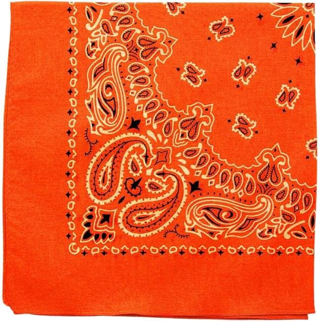 Trainmen Paisley Bandanas Scarf Do-rag Cotton Biker Head Rags Classic Bandanna 22" x 22" (12 Pack)