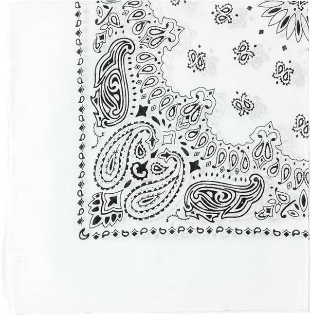 Trainmen Paisley Bandanas Scarf Do-rag Cotton Biker Head Rags Classic Bandanna 22" x 22" (12 Pack)
