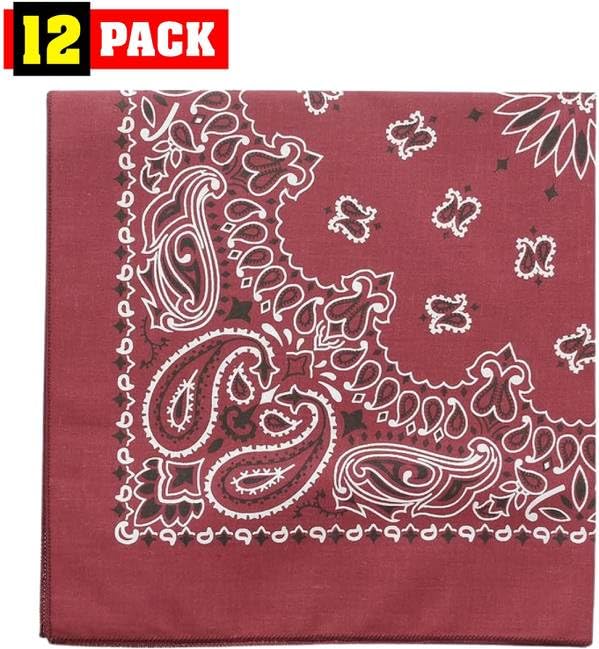 Trainmen Paisley Bandanas Scarf Do-rag Cotton Biker Head Rags Classic Bandanna 22" x 22" (12 Pack)
