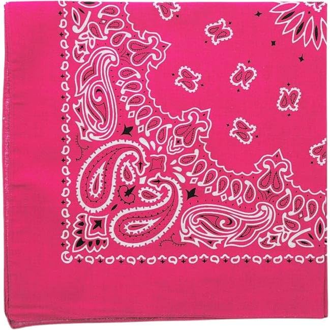 Trainmen Paisley Bandanas Scarf Do-rag Cotton Biker Head Rags Classic Bandanna 22" x 22" (12 Pack)