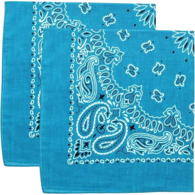 Trainmen Paisley Bandana Head Scarf Do-rag 100% Cotton Bandanna Cover 22" x 22", 2 Pack