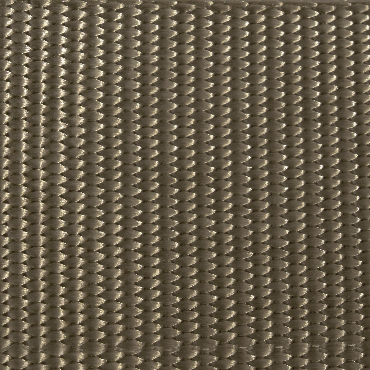 Coyote Brown - AR 670-1 Compliant Military Riggers Belt