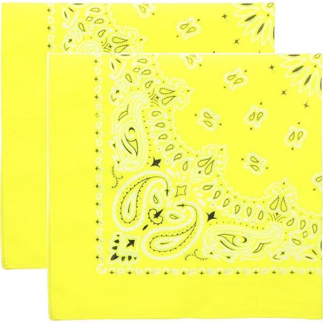 Trainmen Paisley Bandana Head Scarf Do-rag 100% Cotton Bandanna Cover 22" x 22", 2 Pack