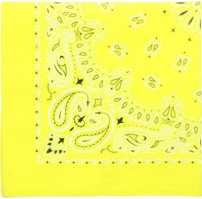 Trainmen Paisley Bandanas Scarf Do-rag Cotton Biker Head Rags Classic Bandanna 22" x 22" (12 Pack)