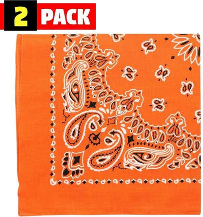 Trainmen Paisley Bandana Head Scarf Do-rag 100% Cotton Bandanna Cover 22" x 22", 2 Pack