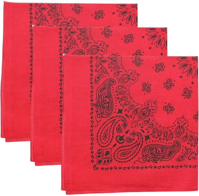 Trainmen Paisley Bandanas Head Scarf Do-rag 100% Cotton Bandanna Head Cover 22" x 22", 3 Pack