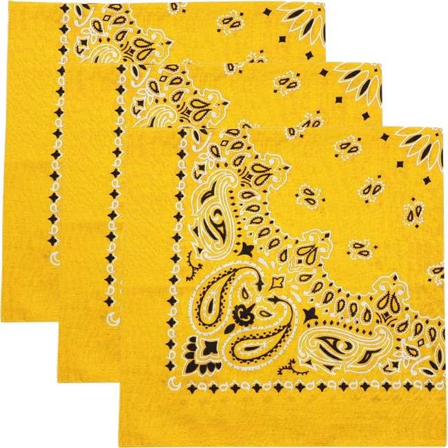 Trainmen Paisley Bandanas Head Scarf Do-rag 100% Cotton Bandanna Head Cover 22" x 22", 3 Pack