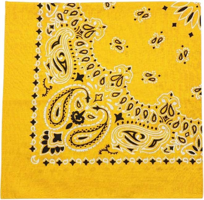 Trainmen Paisley Bandanas Scarf Do-rag Cotton Biker Head Rags Classic Bandanna 22" x 22" (12 Pack)