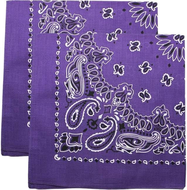 Trainmen Paisley Bandana Head Scarf Do-rag 100% Cotton Bandanna Cover 22" x 22", 2 Pack