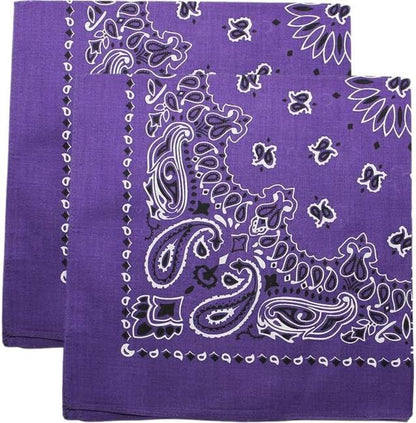 Trainmen Paisley Bandana Head Scarf Do-rag 100% Cotton Bandanna Cover 22" x 22", 2 Pack