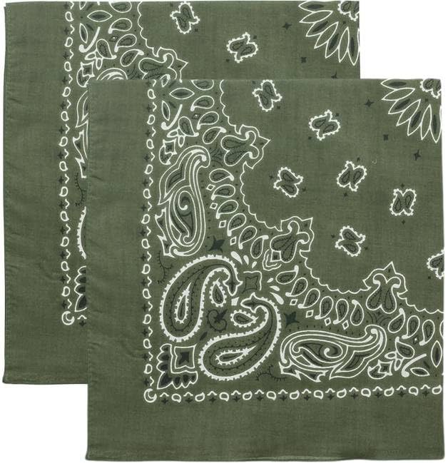 Trainmen Paisley Bandana Head Scarf Do-rag 100% Cotton Bandanna Cover 22" x 22", 2 Pack