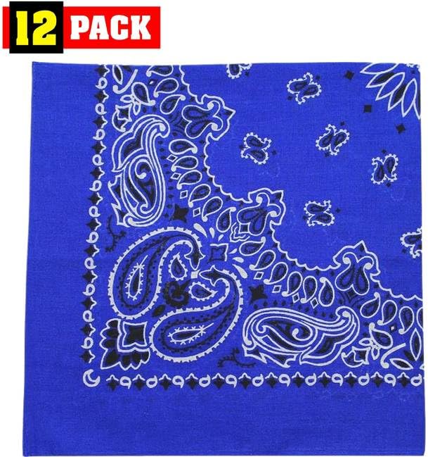 Trainmen Paisley Bandanas Scarf Do-rag Cotton Biker Head Rags Classic Bandanna 22" x 22" (12 Pack)