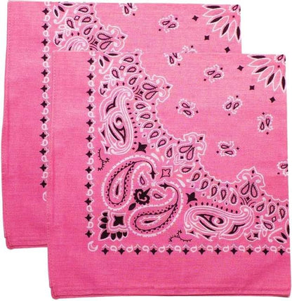 Trainmen Paisley Bandana Head Scarf Do-rag 100% Cotton Bandanna Cover 22" x 22", 2 Pack