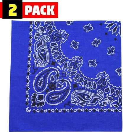 Trainmen Paisley Bandana Head Scarf Do-rag 100% Cotton Bandanna Cover 22" x 22", 2 Pack