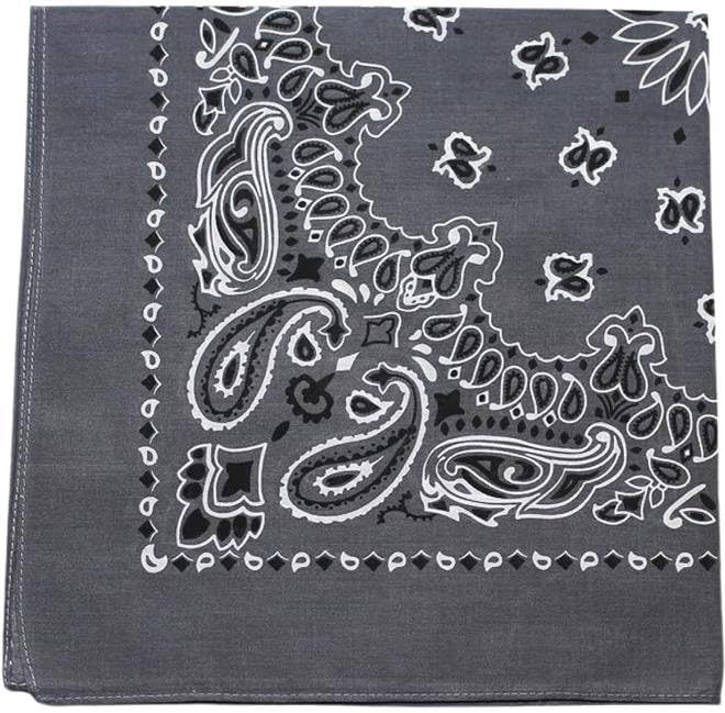 Trainmen Paisley Bandanas Scarf Do-rag Cotton Biker Head Rags Classic Bandanna 22" x 22" (12 Pack)