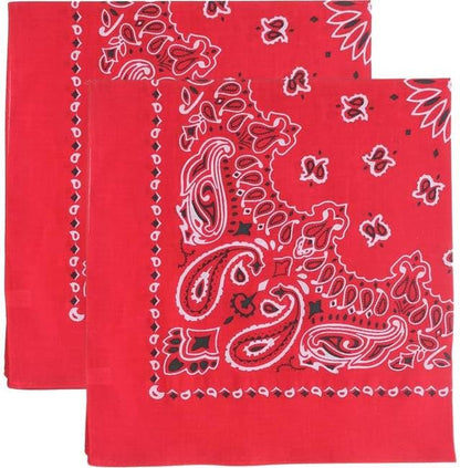 Trainmen Paisley Bandana Head Scarf Do-rag 100% Cotton Bandanna Cover 22" x 22", 2 Pack