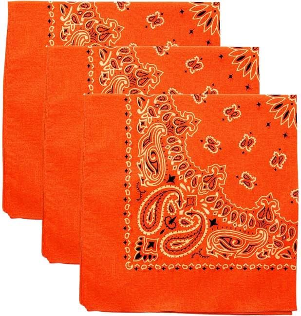 Trainmen Paisley Bandanas Head Scarf Do-rag 100% Cotton Bandanna Head Cover 22" x 22", 3 Pack