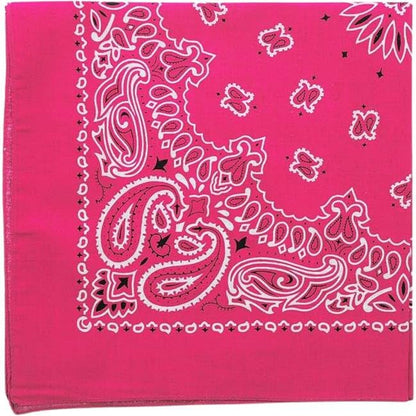 Trainmen Paisley Bandanas Scarf Do-rag Cotton Biker Head Rags Classic Bandanna 22" x 22" (12 Pack)
