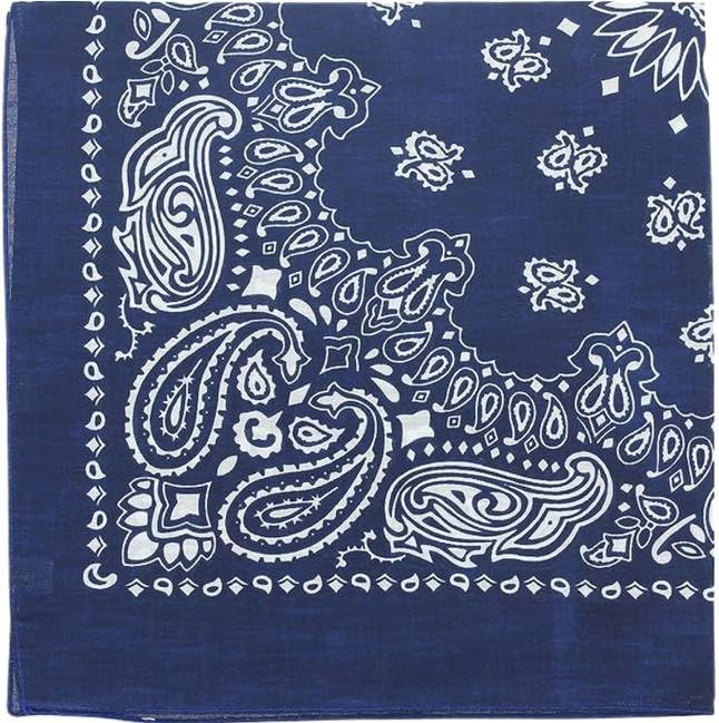 Trainmen Paisley Bandanas Scarf Do-rag Cotton Biker Head Rags Classic Bandanna 22" x 22" (12 Pack)