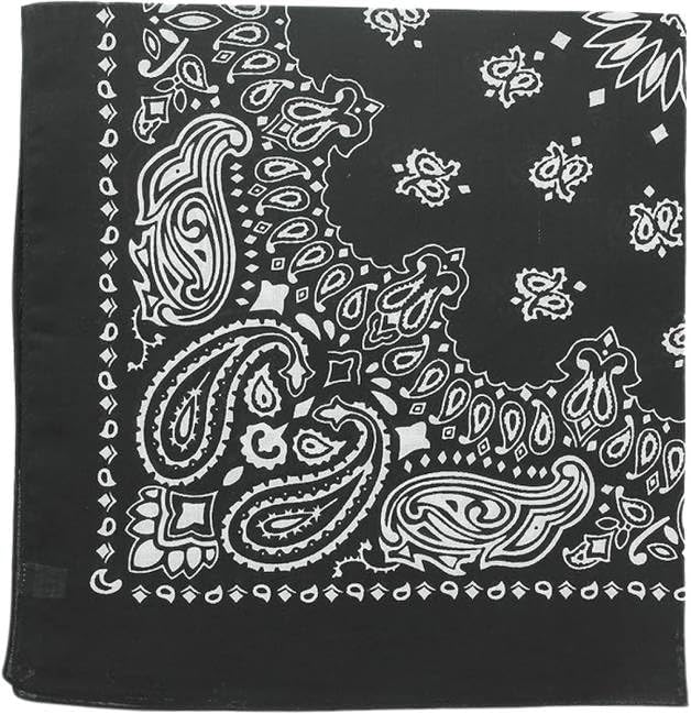 Trainmen Paisley Bandanas Scarf Do-rag Cotton Biker Head Rags Classic Bandanna 22" x 22" (12 Pack)
