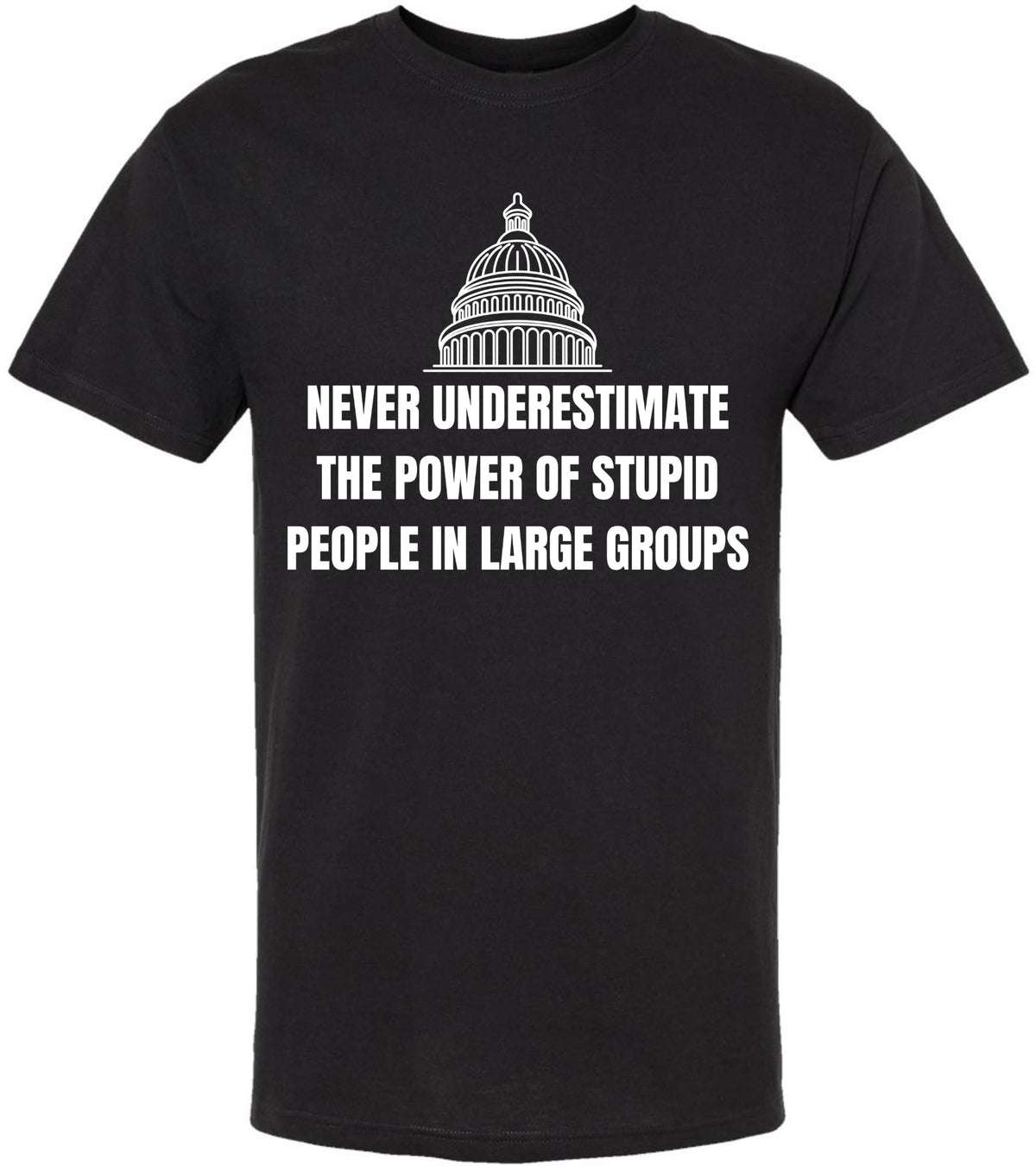 Never Underestimate The Power of Stupid People in Large Groups Printed T-Shirt | Funny Sarcastic Unisex Tee