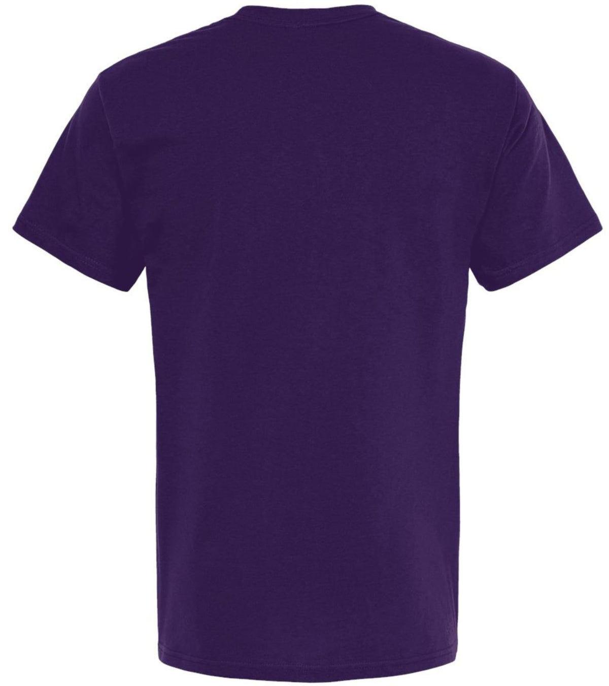 Literally, A Word With Apparently No Meaning In Today’s Society Printed T-Shirt Funny Grammar 100% Cotton Tee