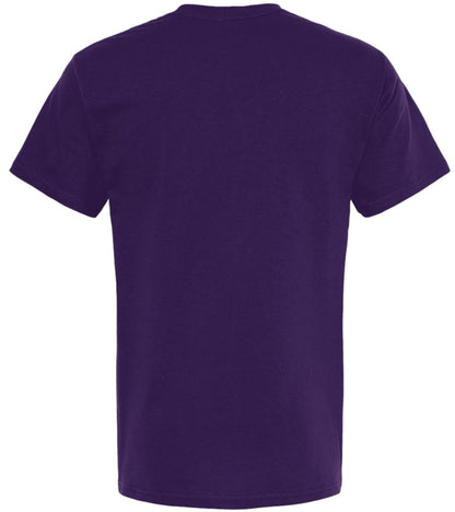 Literally, A Word With Apparently No Meaning In Today’s Society Printed T-Shirt Funny Grammar 100% Cotton Tee
