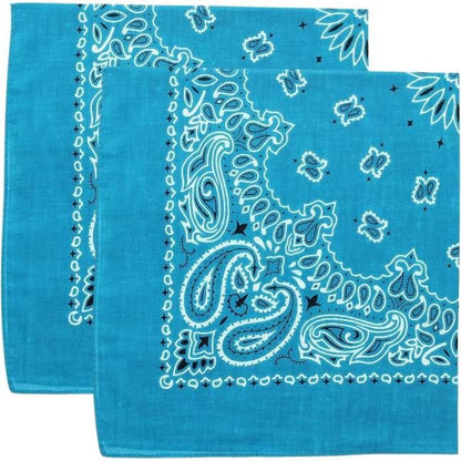 Trainmen Paisley Bandana Head Scarf Do-rag 100% Cotton Bandanna Cover 22" x 22", 2 Pack