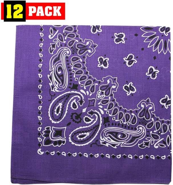 Trainmen Paisley Bandanas Scarf Do-rag Cotton Biker Head Rags Classic Bandanna 22" x 22" (12 Pack)