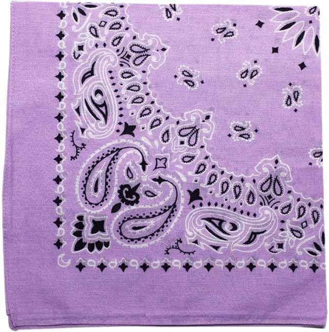 Trainmen Paisley Bandanas Scarf Do-rag Cotton Biker Head Rags Classic Bandanna 22" x 22" (12 Pack)