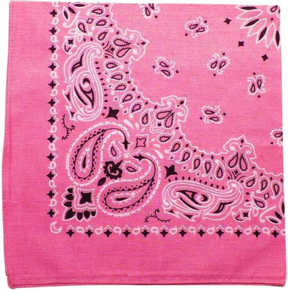 Trainmen Paisley Bandanas Scarf Do-rag Cotton Biker Head Rags Classic Bandanna 22" x 22" (12 Pack)